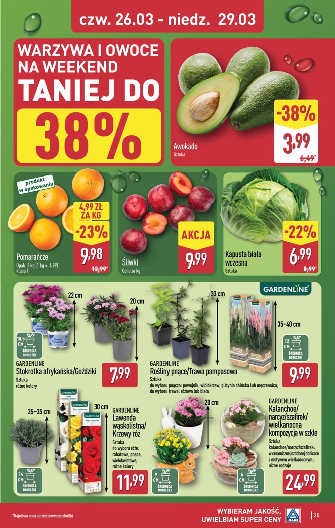 Aldi gazetka promocyjna 23.03-29.03.2026 — strona 35 z 49