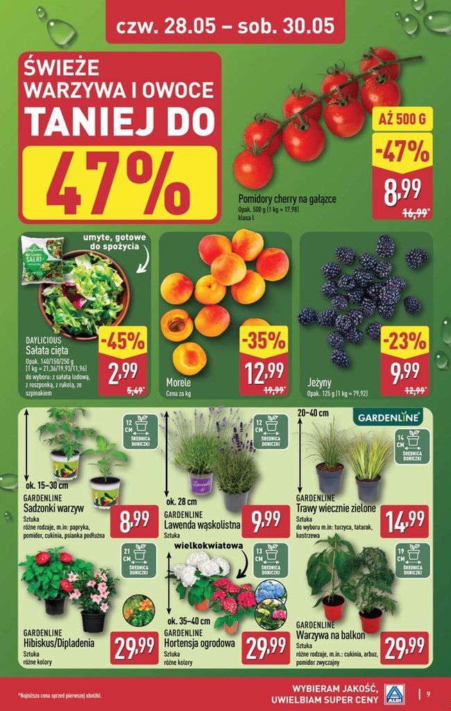 Aldi gazetka promocyjna 28.05-30.05.2026 — strona 9 z 17