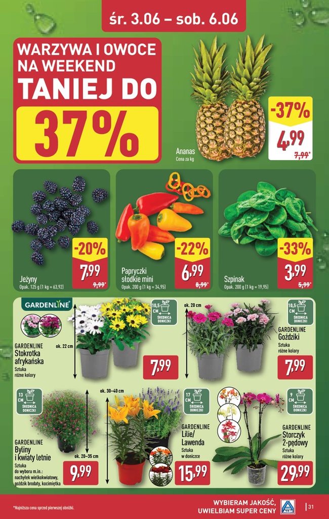 Aldi gazetka promocyjna 01.06-06.06.2026 — strona 31 z 44