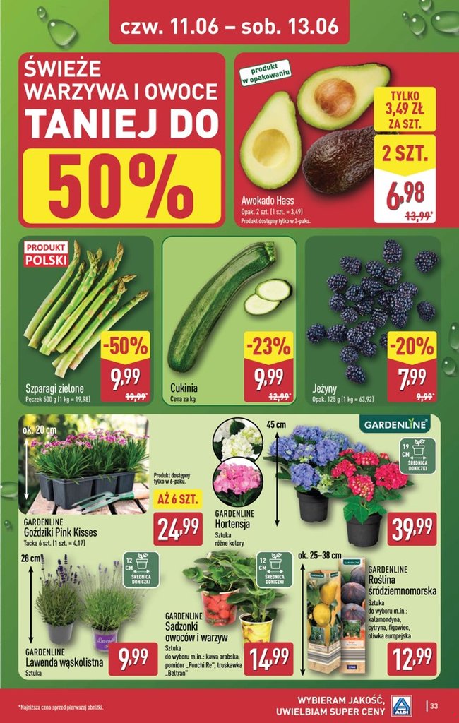 Aldi gazetka promocyjna 08.06-13.06.2026 — strona 33 z 42
