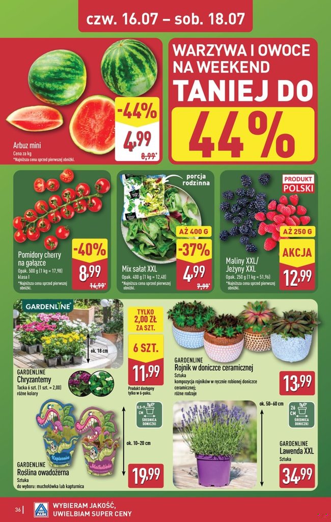 Aldi gazetka promocyjna 13.07-18.07.2026 — strona 36 z 45
