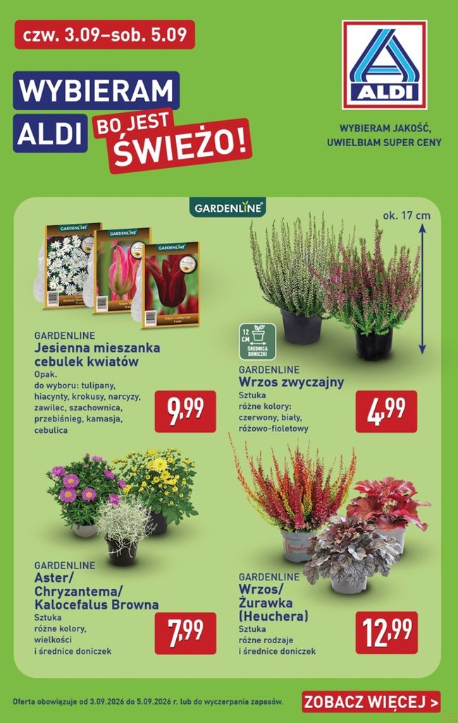Aldi gazetka promocyjna 31.08-05.09.2026 — strona 38 z 49