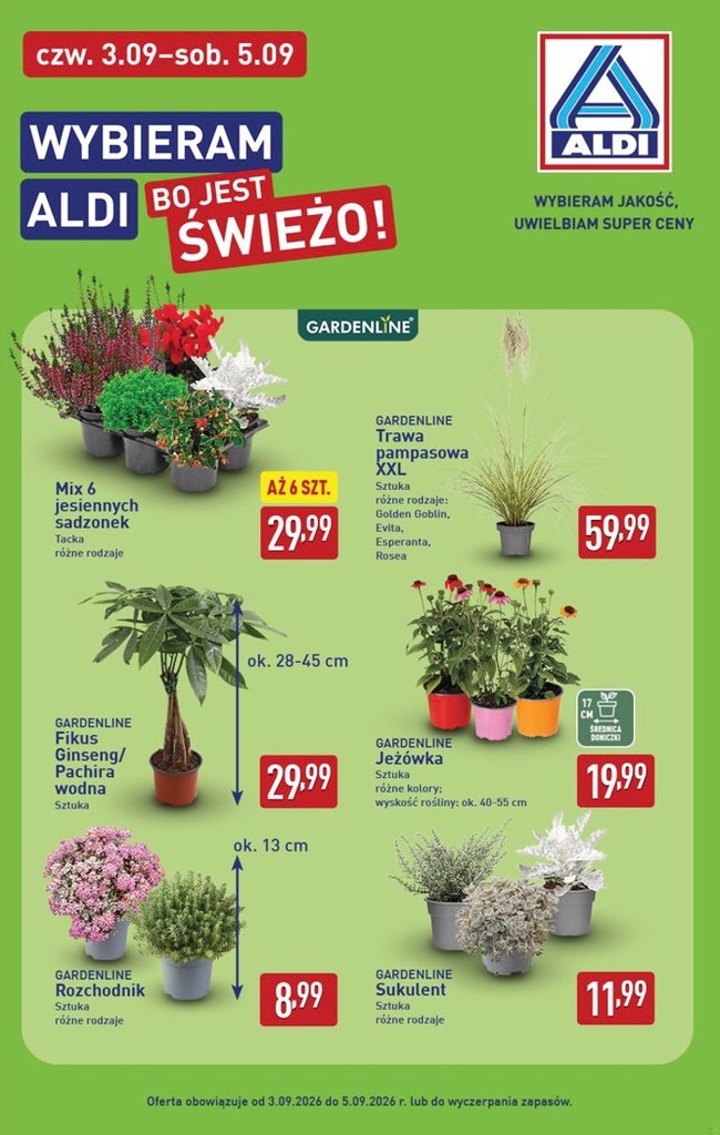 Aldi gazetka promocyjna 31.08-05.09.2026 — strona 39 z 49