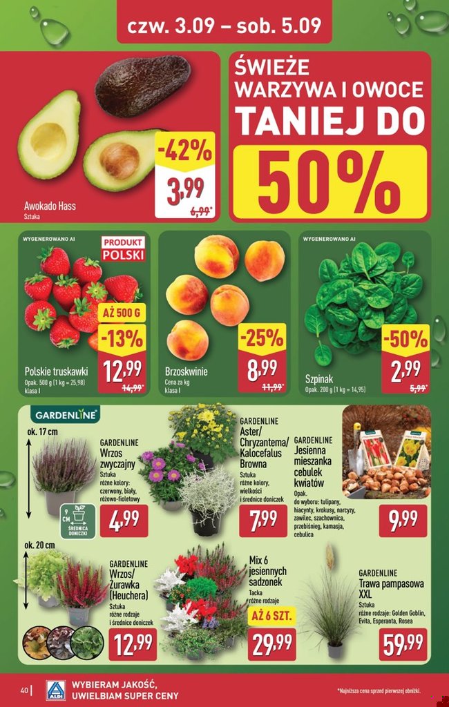 Aldi gazetka promocyjna 31.08-05.09.2026 — strona 40 z 49