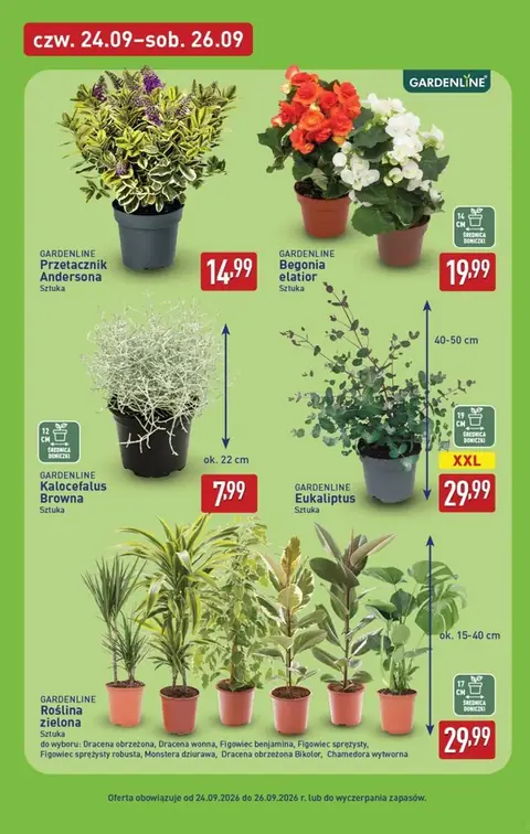 Aldi gazetka promocyjna 24.09-26.09.2026 — strona 7 z 13
