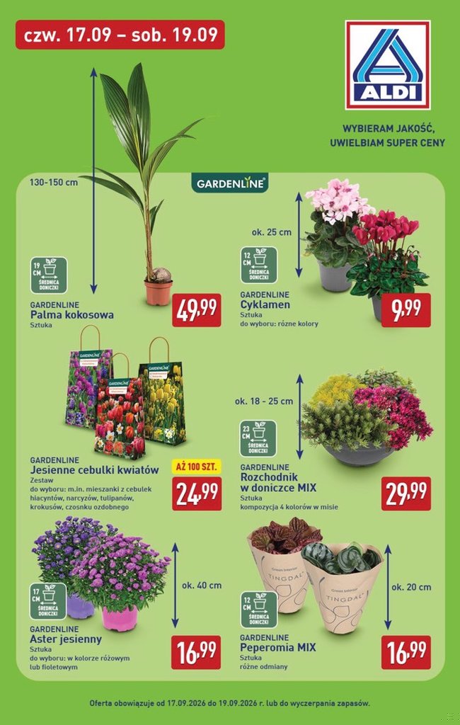 Aldi gazetka promocyjna 14.09-19.09.2026 — strona 33 z 50