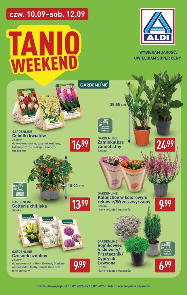Aldi gazetka promocyjna 07.09-15.09.2026 — strona 34 z 48