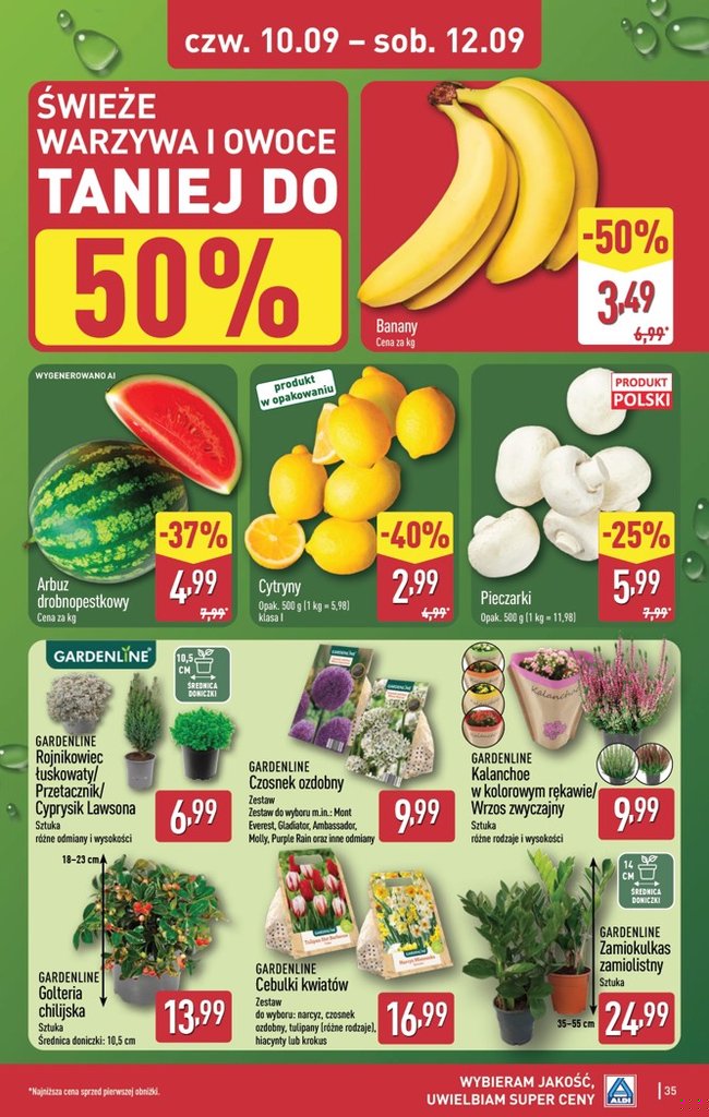 Aldi gazetka promocyjna 07.09-15.09.2026 — strona 35 z 48