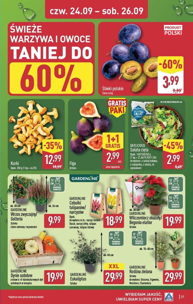 Aldi gazetka promocyjna 21.09-26.09.2026 — strona 37 z 48