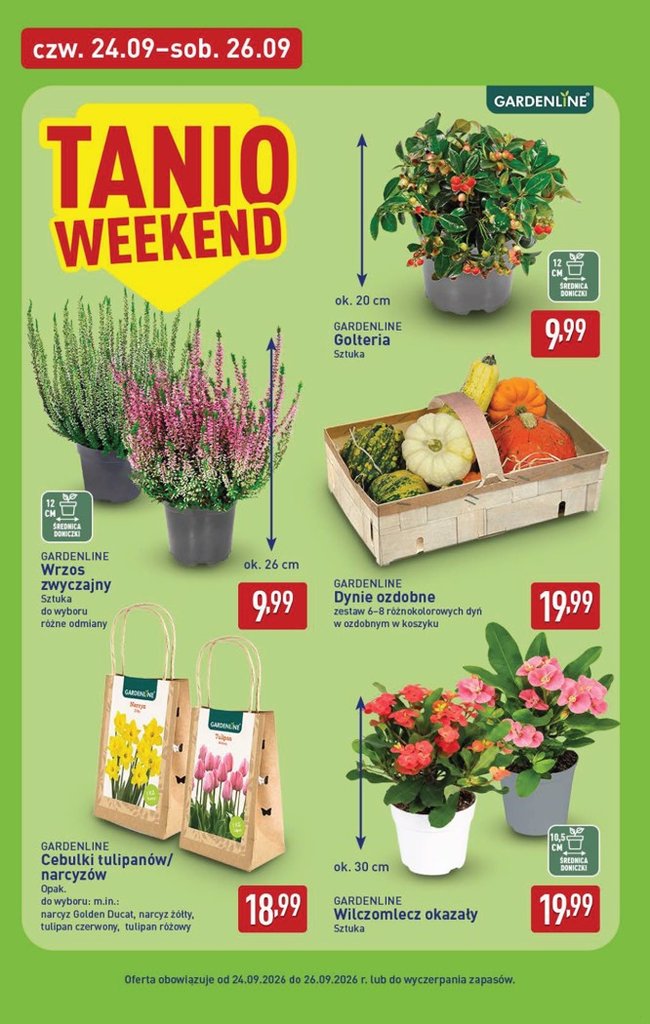 Aldi gazetka promocyjna 21.09-26.09.2026 — strona 38 z 48