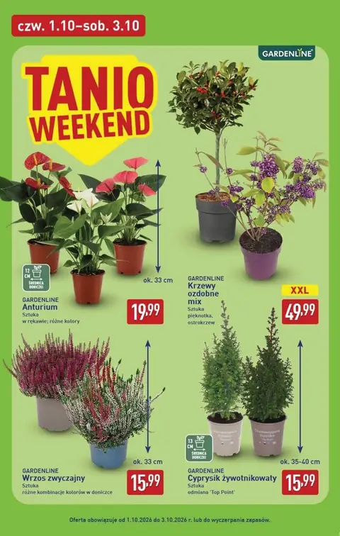 Aldi gazetka promocyjna 28.09-03.10.2026 — strona 42 z 52