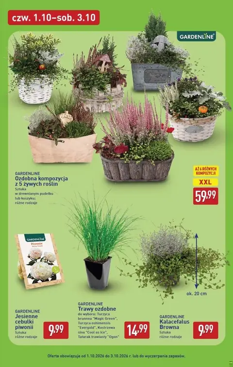 Aldi gazetka promocyjna 28.09-03.10.2026 — strona 43 z 52