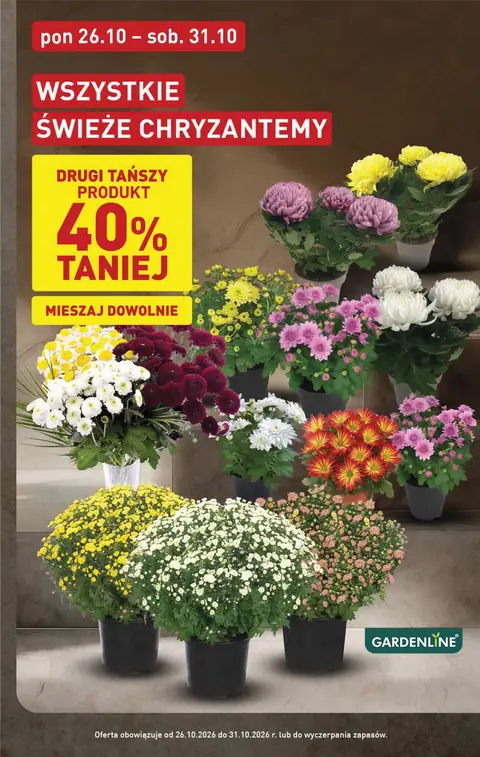 Aldi gazetka promocyjna 26.10-31.10.2026 — strona 3 z 48