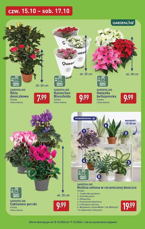 Aldi gazetka promocyjna 15.10-17.10.2026 — strona 7