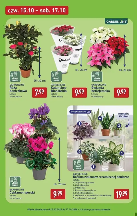 Aldi gazetka promocyjna 15.10-17.10.2026 — strona 7 z 14