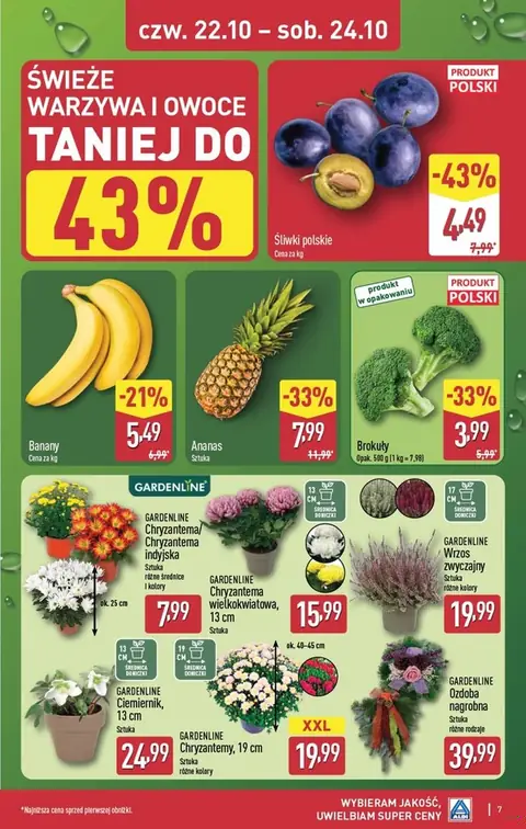 Aldi gazetka promocyjna 22.10-24.10.2026 — strona 7 z 9