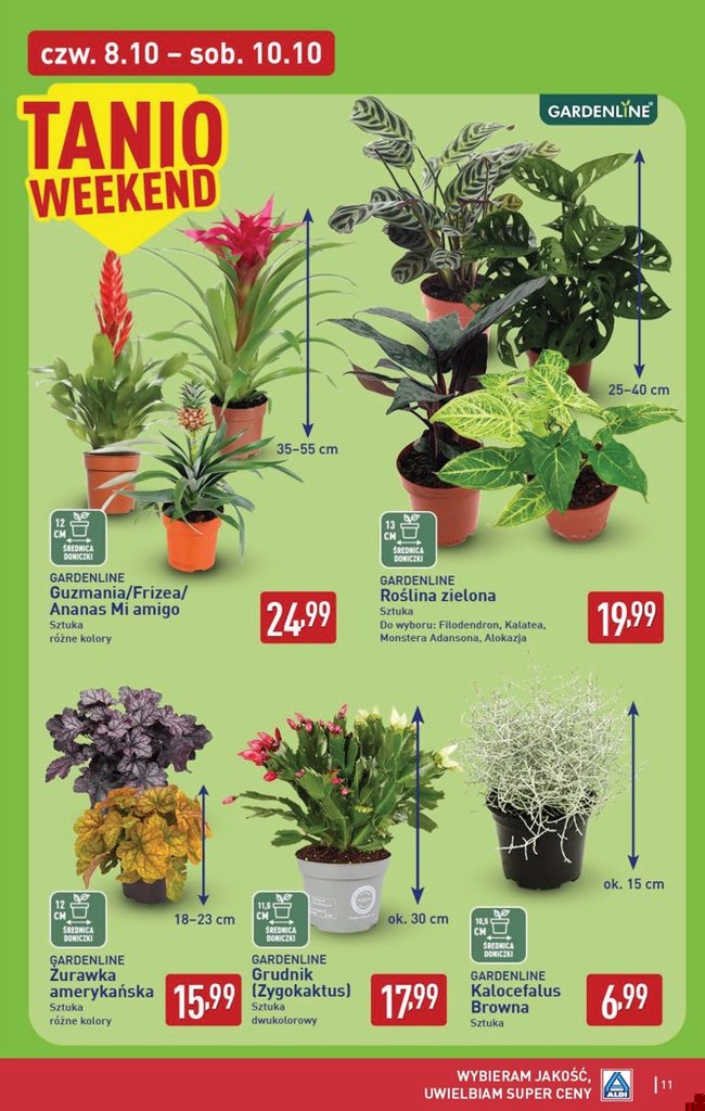 Aldi gazetka promocyjna 08.10-10.10.2026 — strona 11 z 15