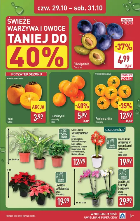 Aldi gazetka promocyjna 26.10-31.10.2026 — strona 39 z 48