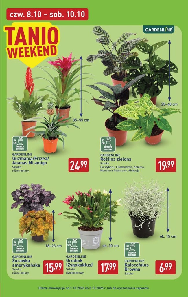Aldi gazetka promocyjna 05.10-10.10.2026 — strona 39 z 51