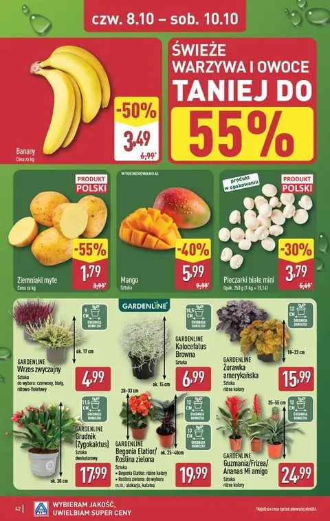 Aldi gazetka promocyjna 05.10-10.10.2026 — strona 42 z 51