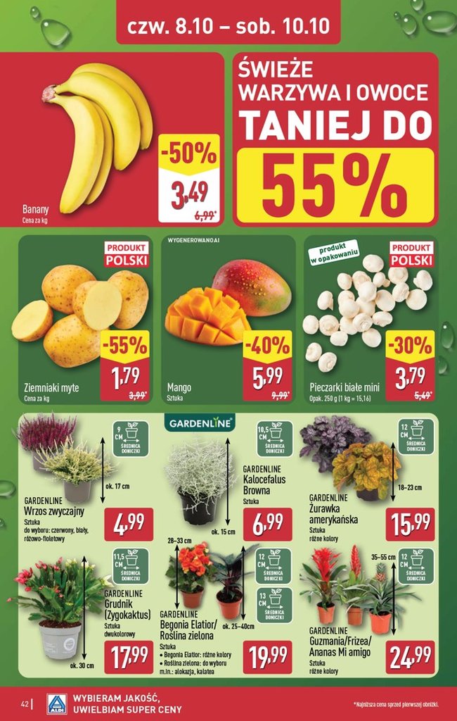 Aldi gazetka promocyjna 05.10-10.10.2026 — strona 42 z 51