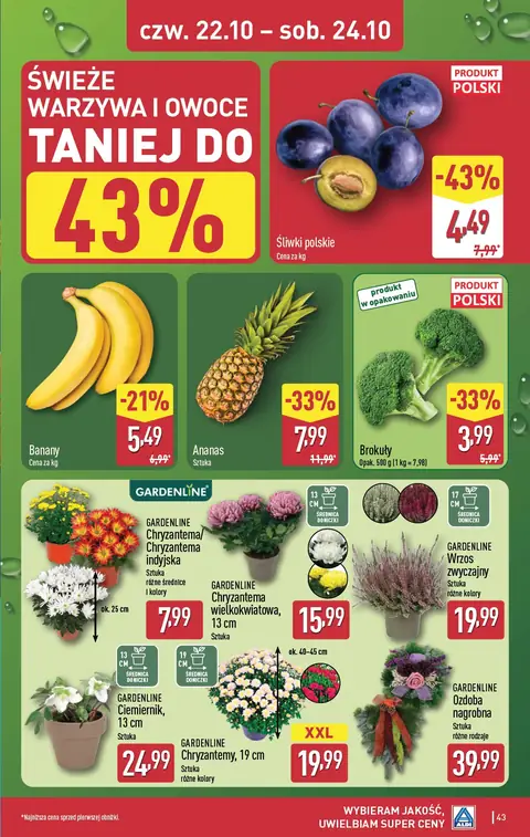 Aldi gazetka promocyjna 19.10-24.10.2026 — strona 43