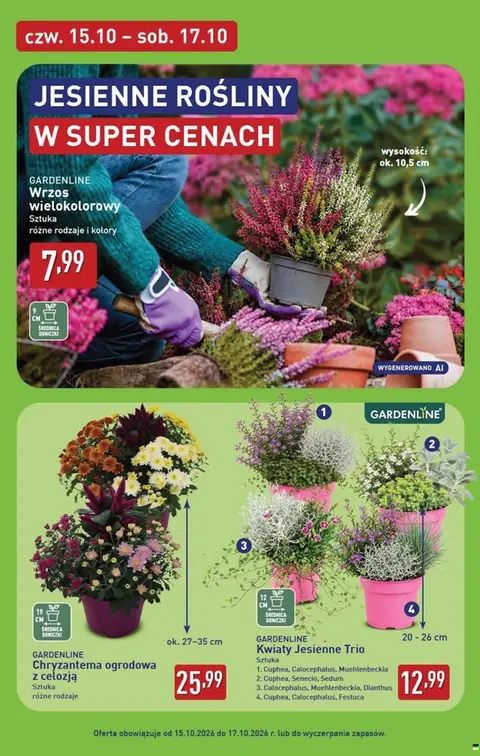Aldi gazetka promocyjna 12.10-17.10.2026 — strona 44 z 53