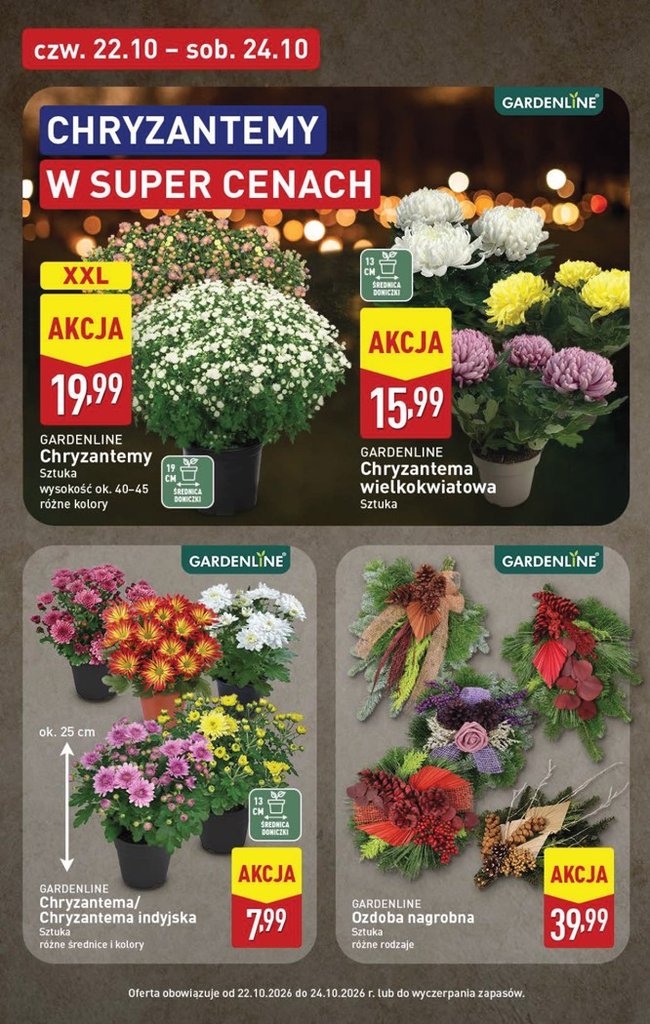 Aldi gazetka promocyjna 19.10-24.10.2026 — strona 44 z 54