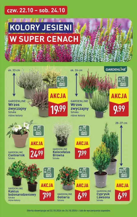 Aldi gazetka promocyjna 19.10-24.10.2026 — strona 45