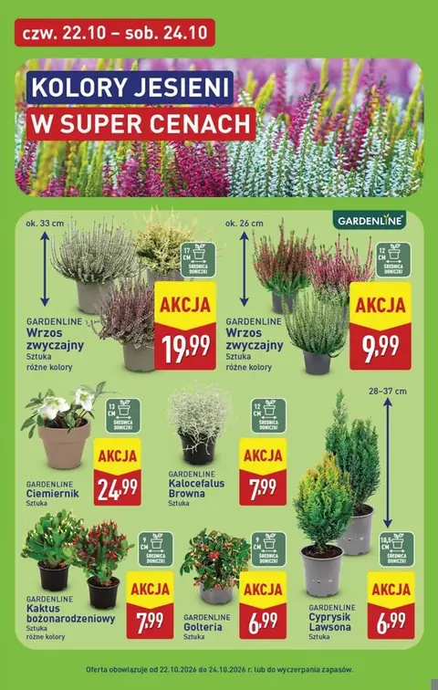 Aldi gazetka promocyjna 19.10-24.10.2026 — strona 45 z 51