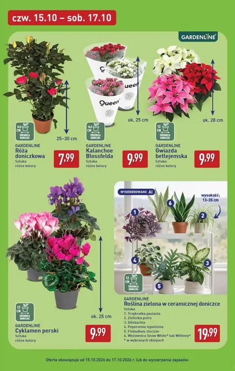 Aldi gazetka promocyjna 12.10-17.10.2026 — strona 45 z 53