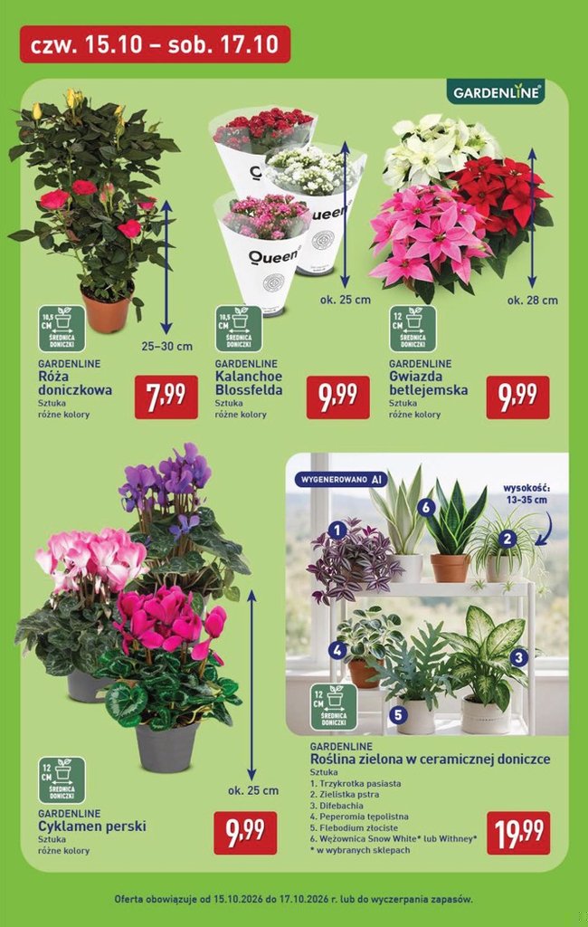 Aldi gazetka promocyjna 12.10-17.10.2026 — strona 45 z 53