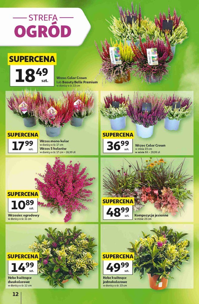 Auchan gazetka promocyjna 03.09-09.09.2026 — strona 12 z 49