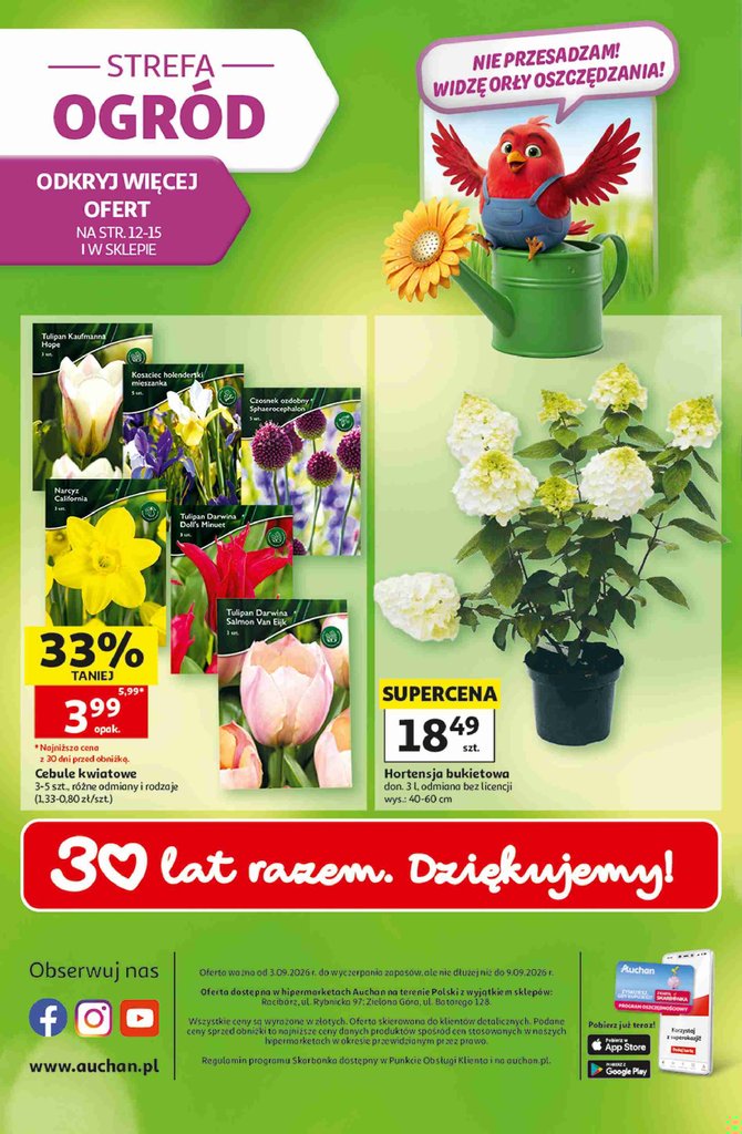 Auchan gazetka promocyjna 03.09-09.09.2026 — strona 49 z 49