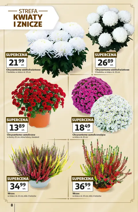Auchan gazetka promocyjna 22.10-28.10.2026 — strona 8 z 44