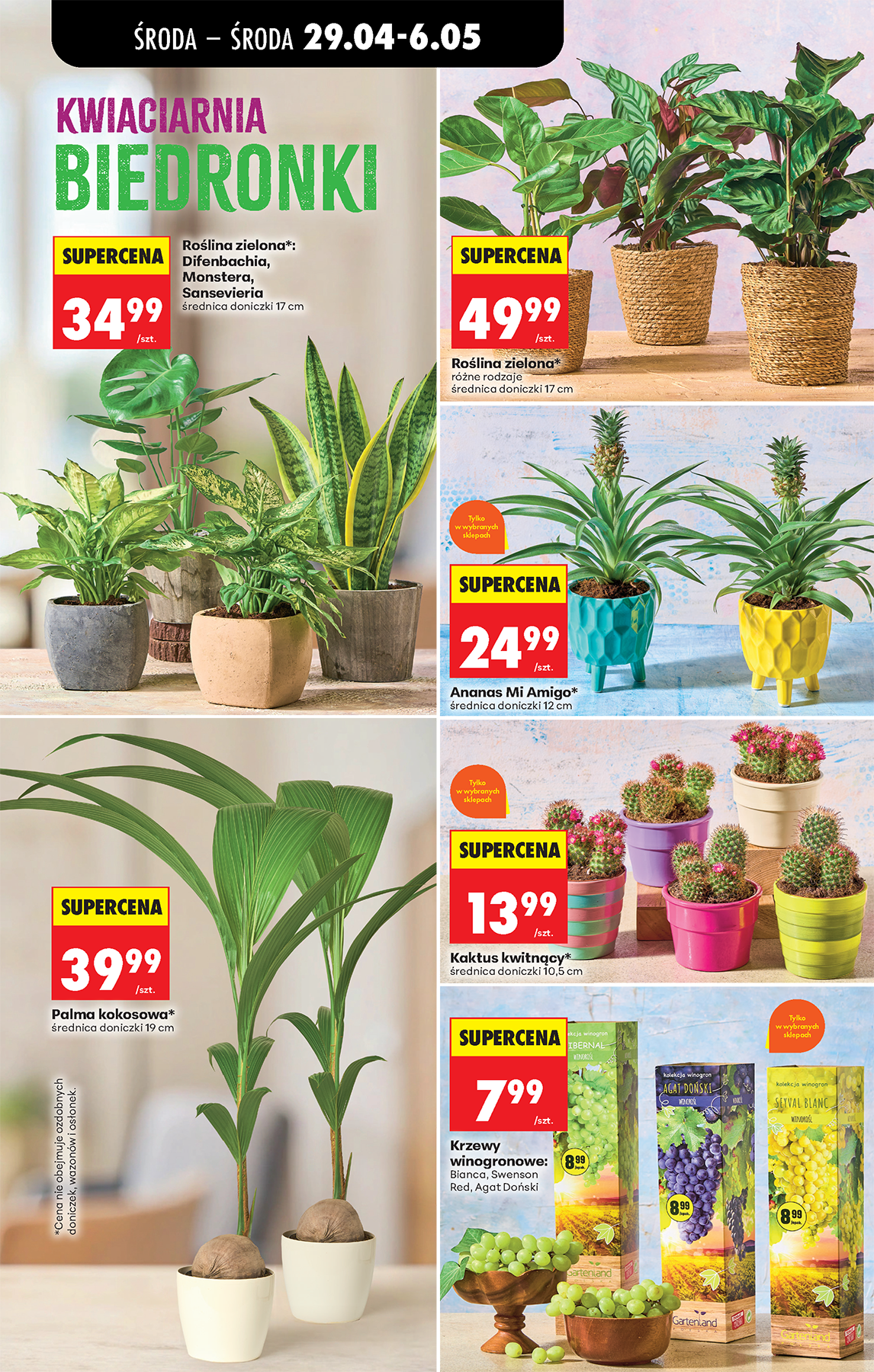 Biedronka gazetka promocyjna 29.04-05.05.2026 — strona 14 z 14