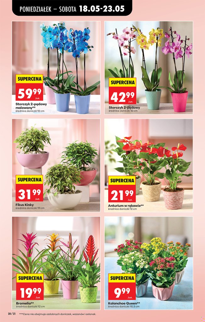 Biedronka gazetka promocyjna 18.05-20.05.2026 — strona 22 z 85