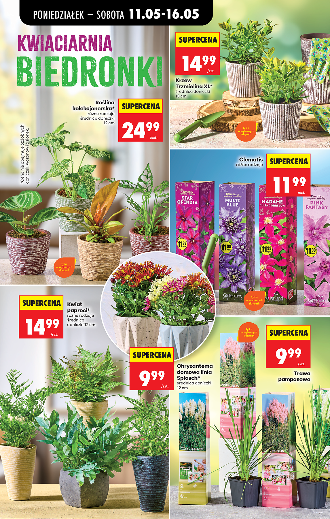 Biedronka gazetka promocyjna 11.05-13.05.2026 — strona 44 z 107