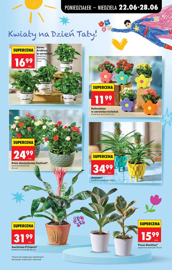 Biedronka gazetka promocyjna 22.06-24.06.2026 — strona 7 z 96