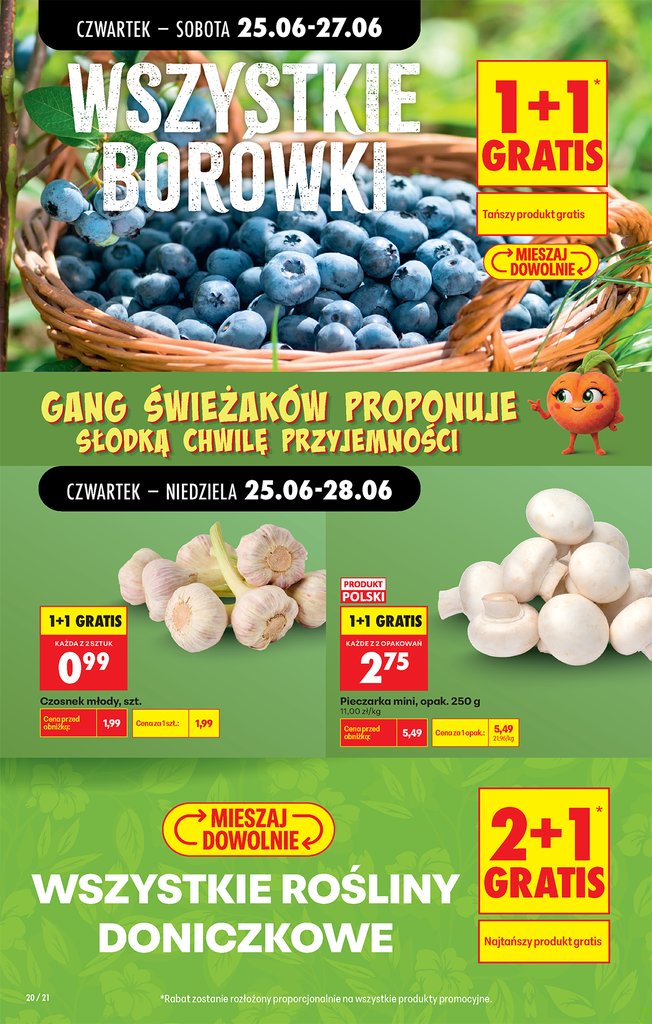 czosnek młody