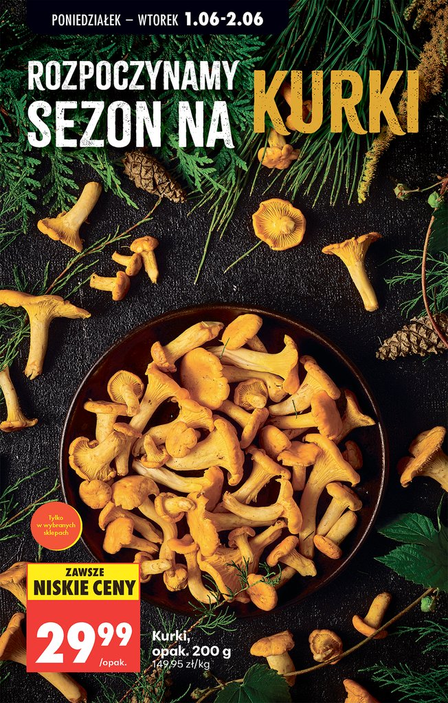 Biedronka gazetka promocyjna 01.06-03.06.2026 — strona 29 z 97