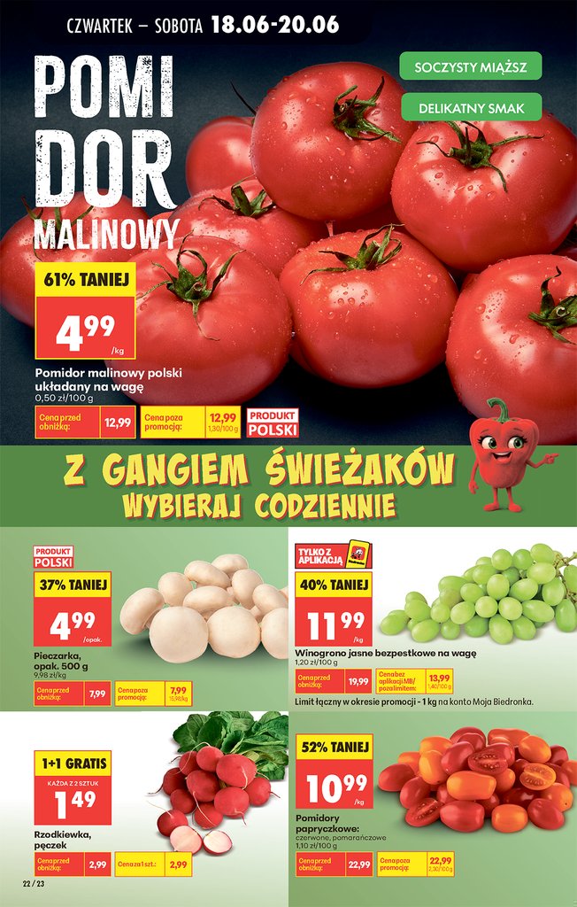 Biedronka gazetka promocyjna 18.06-20.06.2026 — strona 32 z 94