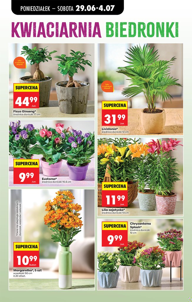 Biedronka gazetka promocyjna 29.06-01.07.2026 — strona 33 z 86