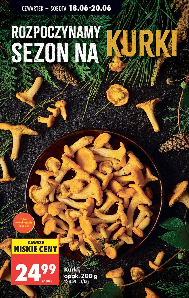 Biedronka gazetka promocyjna 18.06-20.06.2026 — strona 37 z 94