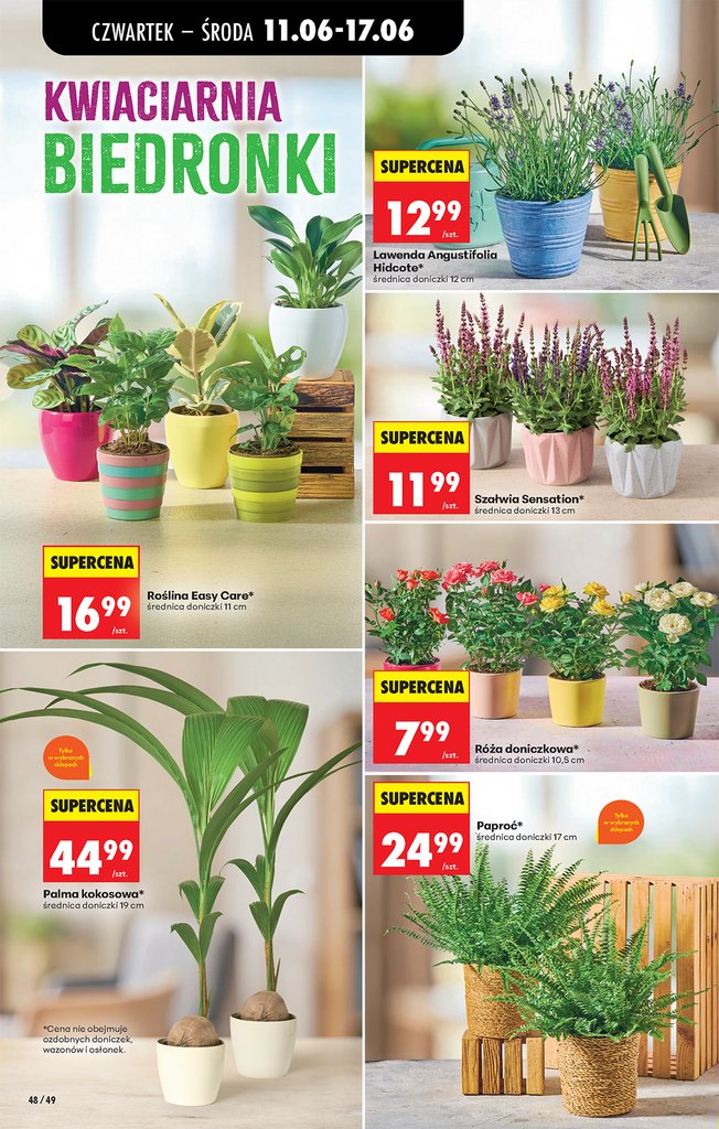 Biedronka gazetka promocyjna 11.06-13.06.2026 — strona 62 z 77