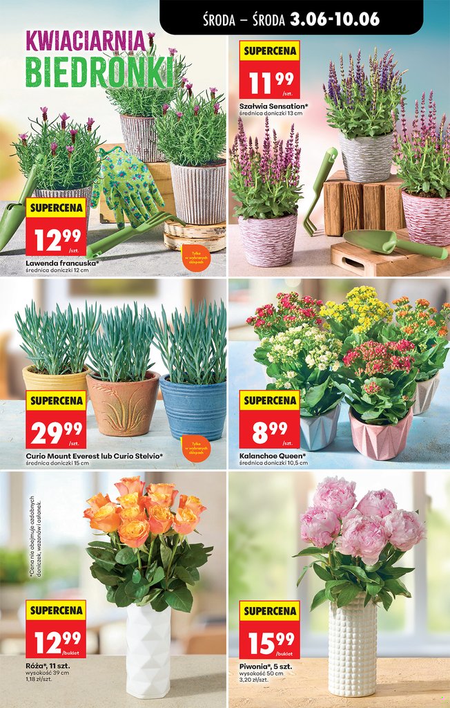 Biedronka gazetka promocyjna 03.06-05.06.2026 — strona 69 z 76