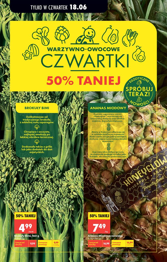 Biedronka gazetka promocyjna 18.06-20.06.2026 — strona 93 z 94
