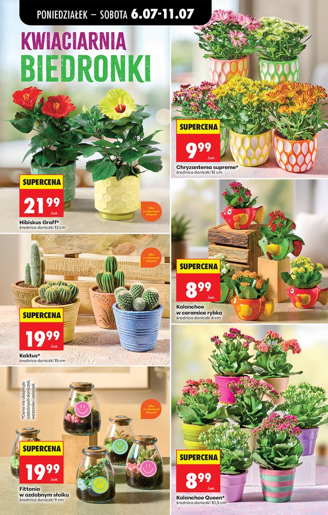 Biedronka gazetka promocyjna 06.07-08.07.2026 — strona 22 z 82