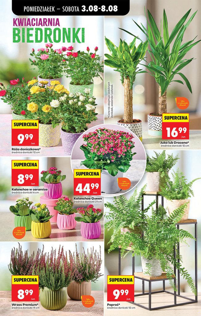 Biedronka gazetka promocyjna 03.08-08.08.2026 — strona 24 z 81