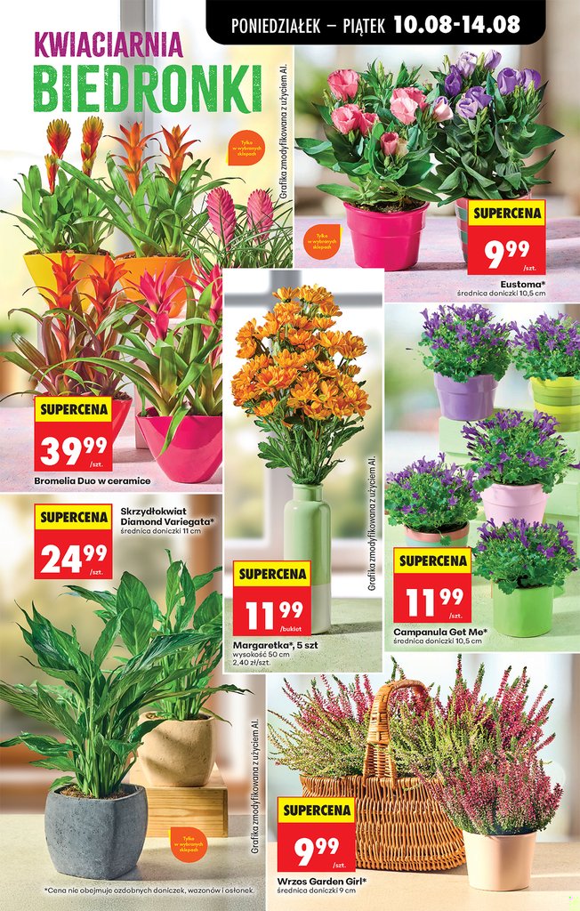 Biedronka gazetka promocyjna 10.08-14.08.2026 — strona 29 z 90